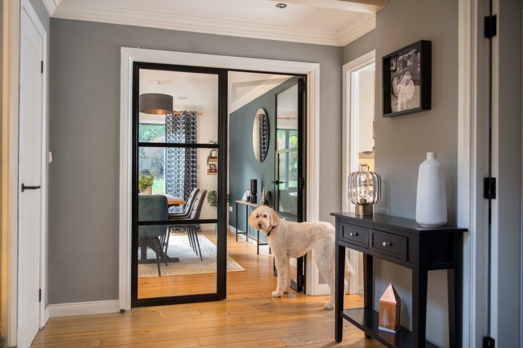 Internal glass door in domestic hallway featuring a large white dog.